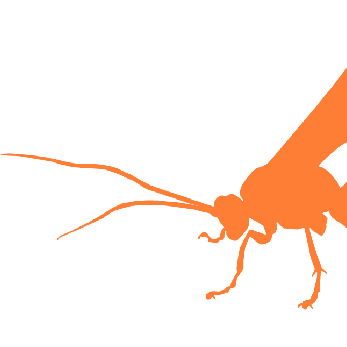 Nastasin Nicola Nastasi Github - Colorful Patterns - Creative Desktop Collection