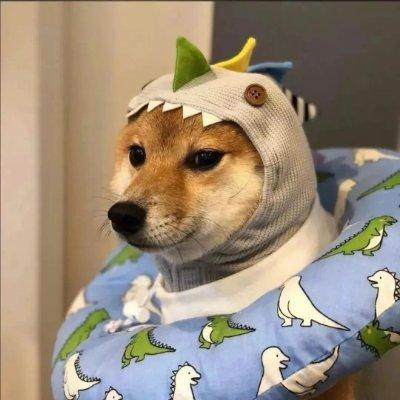 Psyduck King Github - Sunset Art Collection - 4K Quality