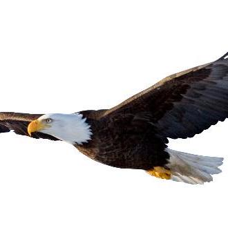 Github Gjjss0903 Hoveranimation Css - Premium City Art Gallery - 4K