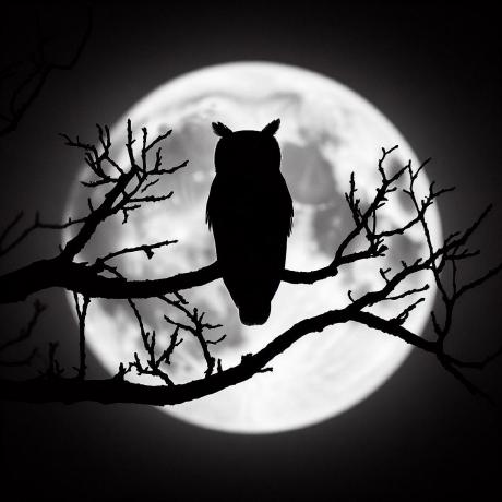 B Denys Github - High Resolution Dark Images for Desktop