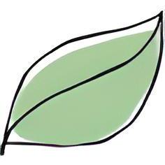 Nbu Fcit Github - Colorful Texture Collection - Mobile Quality