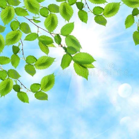 Lobocorp Sylvie Github - Ultra HD 8K Gradient Pictures | Free Download