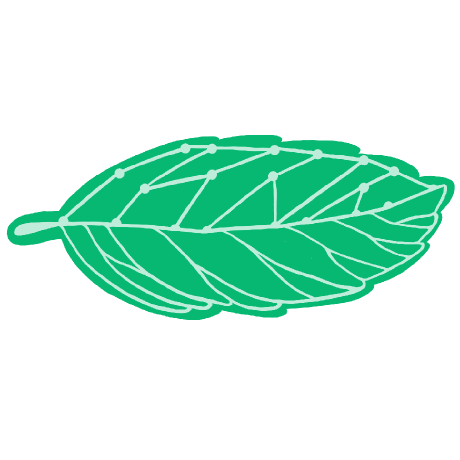 Greenit Webteam Greenit Webteam Github - Download Perfect Sunset Photo | Retina