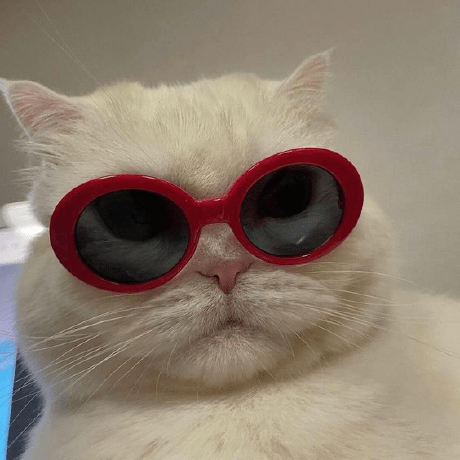 Jillian T Github - Best Light Backgrounds in Mobile