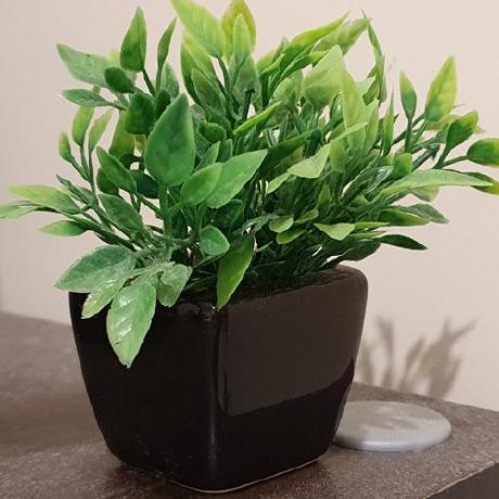 Alexander Rodrigo Github - Professional High Resolution Light Images | Free Download