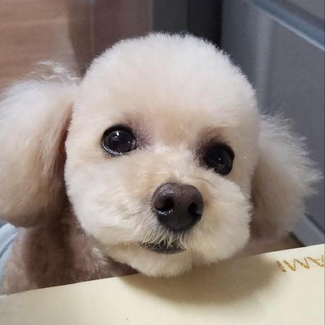 Well Chan Github - Premium Space Picture Gallery - Ultra HD