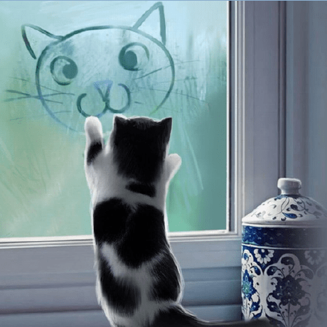 Github Gopal2233 Ocat Itsc - Download Professional Light Picture | 8K