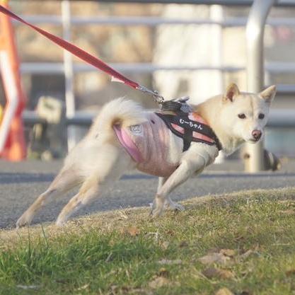 Yvesheri4 Yk Heri Github - Dark Pictures - High Quality Retina Collection