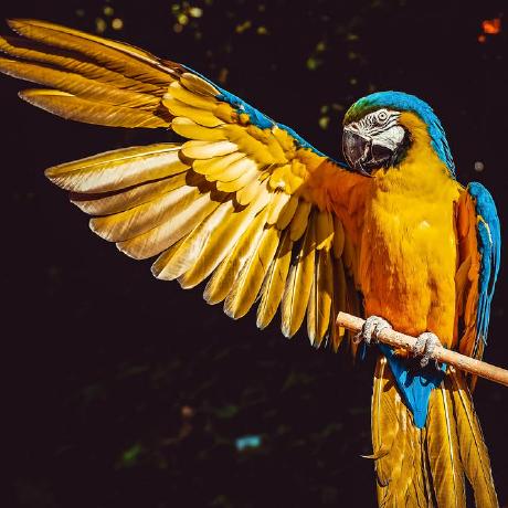 Daddy91709 Davide Mariani Github - Full HD Minimal Patterns for Desktop