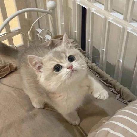 Anne Eng Github - Gradient Texture Collection - HD Quality