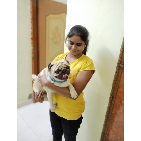 Rohini Tech Rohini K Github - Premium Light Image Gallery - High Resolution