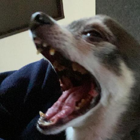 Hiroko Ogasawara Github - Premium Sunset Art Gallery - Desktop