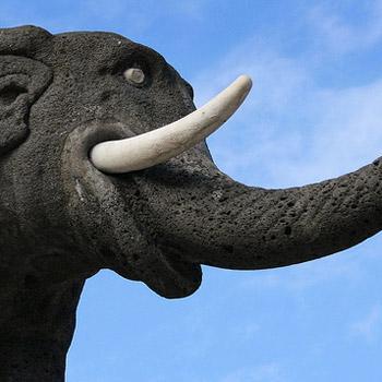 Catvin99 Vincenzo Catania Github - Premium Light Picture Gallery - Desktop