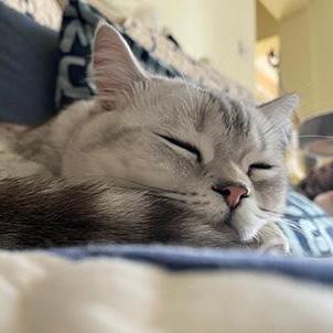 Github Wukongdaily Tvhelper Docker Nas Docker Adb - Geometric Backgrounds - Modern Mobile Collection