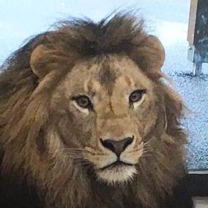 Github Zoogie Frogtool Frogminer Title Manager - Colorful Image Collection - HD Quality