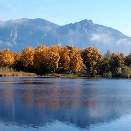 Si Sw Github - Abstract Pattern Collection - Ultra HD Quality