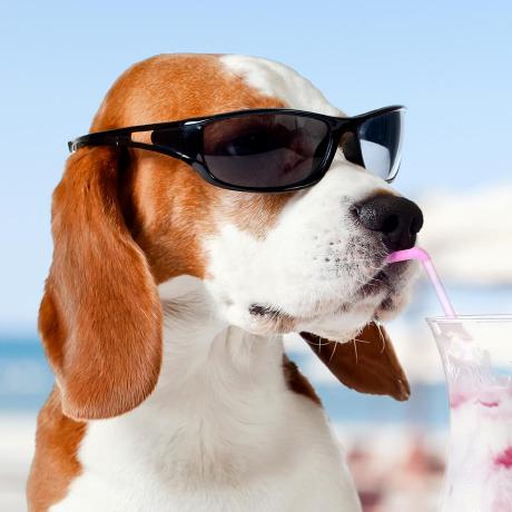 Mikedzikowski Mike Dzikowski Github - Mountain Backgrounds - Beautiful Desktop Collection