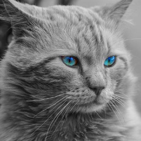 Aa Panpan Github - Download Premium Dark Texture | Full HD