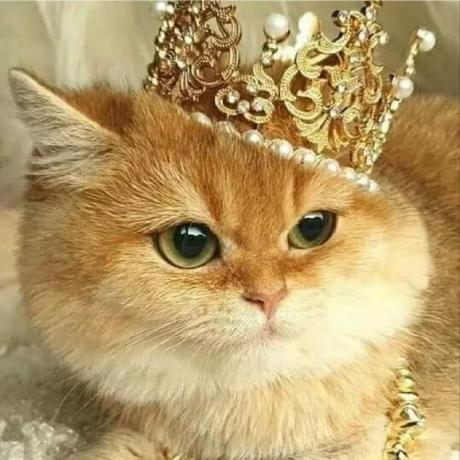 Dennis 10 Dennis Rodrigues Github - Download Stunning Minimal Pattern | Retina