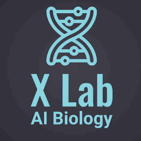Xlab Ai X Lab At Kennesaw State University Github