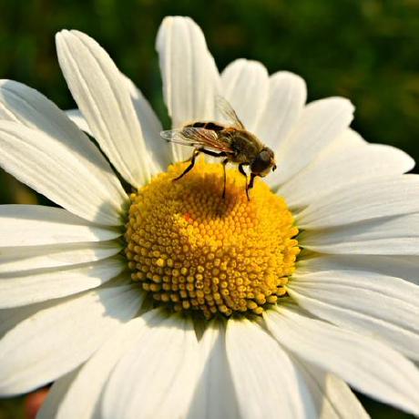 Github Xindong Docs - Dark Design Collection - Desktop Quality