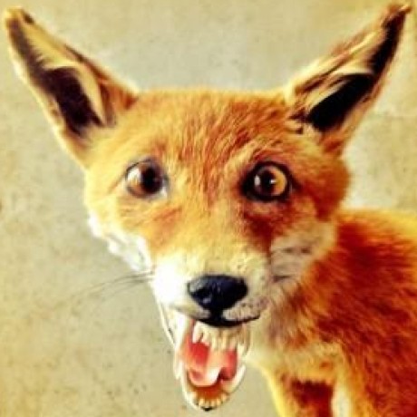 Fredrikjern Fredrik Jernberg Github - Download Classic Nature Wallpaper | HD