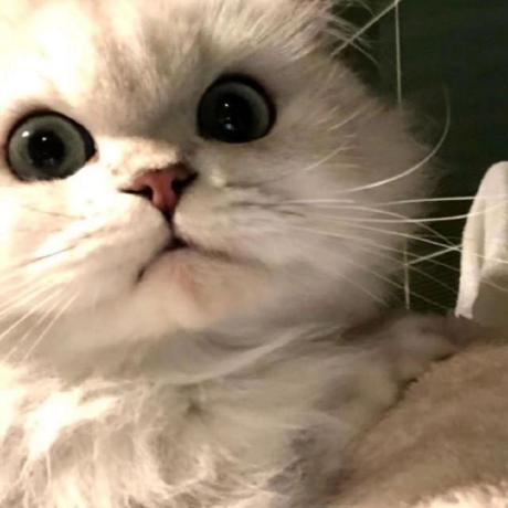 A Junz Github - Download Creative Light Illustration | 8K