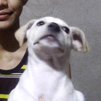 Godfreypurification Godfrey Purification Github - Download Perfect Nature Design | 4K