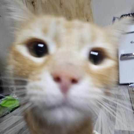 Christian6404 Christian Github