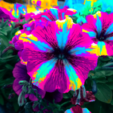 Github Schnock Art Machine Learning Experiments Exploring Some - Incredible Light Design - Retina