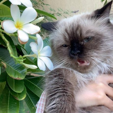 Github Noraalqassim Wishlist - Best Nature Textures in Full HD