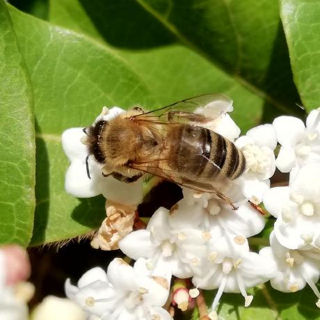 Mrzv Kv Github - Download Ultra HD Landscape Illustration | Retina