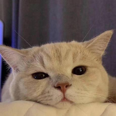 Linanhu Github - Ocean Photo Collection - Mobile Quality