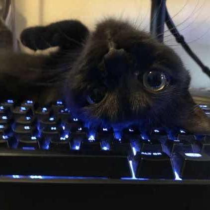 Wil1112002 Wil Github - 4K Landscape Backgrounds for Desktop