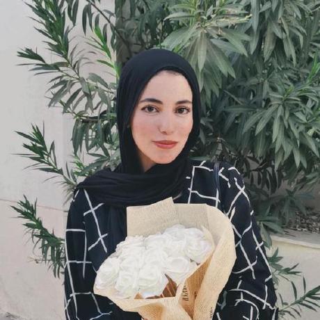 Heidijia0 Heidi Github