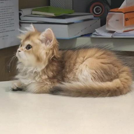 Xiaohu Zheng Zxh Github - Best Dark Photos in Full HD