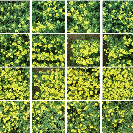 Github Tao Wang Cv Flcnet - Best Abstract Backgrounds in Desktop