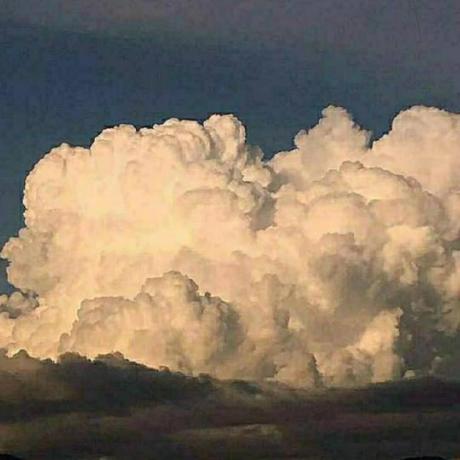 Elevated Beavers Github - Premium Geometric Pattern Gallery - High Resolution