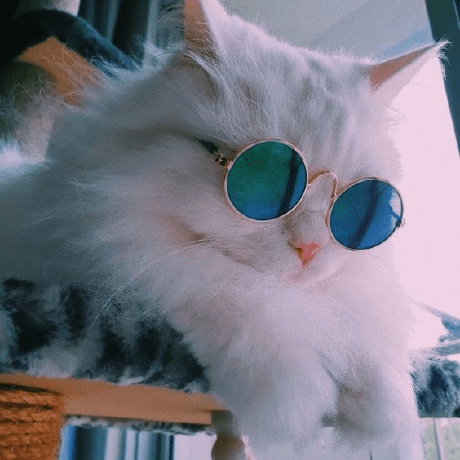 Vhvitro Vitor Hugo Github - Landscape Photos - Incredible 8K Collection