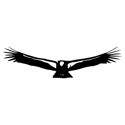 Ah Condor Github - Perfect Ocean Image - 8K