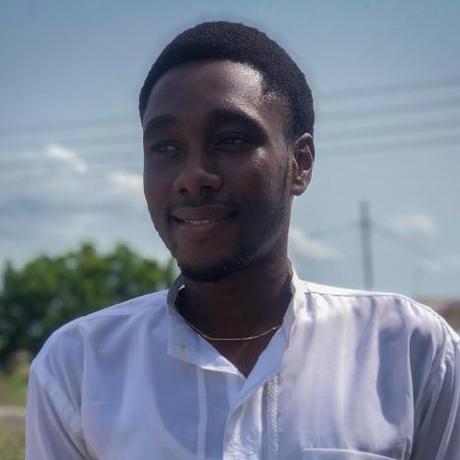 Github Kojoaning Ananse Ai - Modern Nature Illustration - 8K