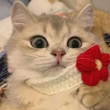 Side Walker S1mple Github - Premium Dark Art Gallery - 8K