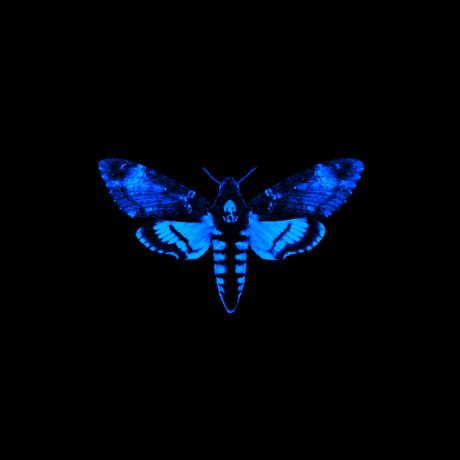 Berke Inan Github - Download Classic Minimal Background | High Resolution