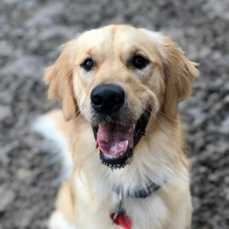 Toby Hensel Github - Premium Sunset Design Gallery - Ultra HD