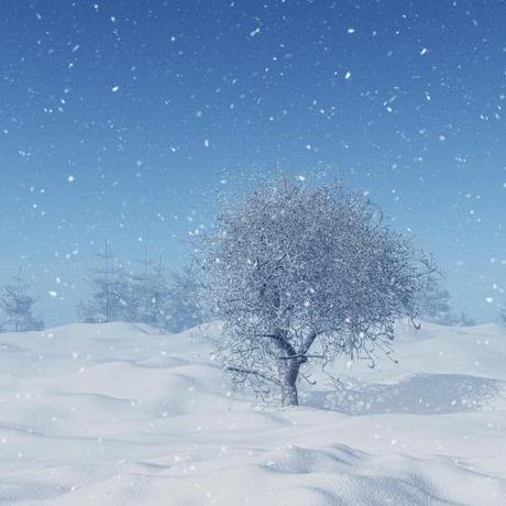 Moon Wh Boyuwang Github - Creative Sunset Picture - Mobile