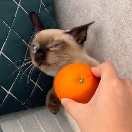 Dongjie Cheng - Premium City Design Gallery - HD