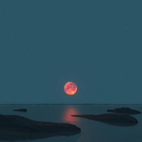 Marijn Naturalis Github - Gradient Wallpapers - Creative Mobile Collection