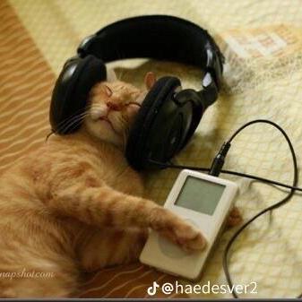 Phatgg221 Github - Sunset Textures - High Quality 4K Collection