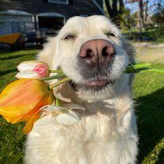 Anusuiya Parihar Github - Minimal Texture Collection - Retina Quality