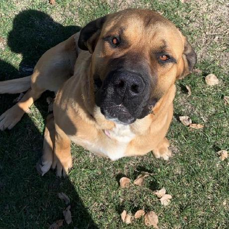 Kaleb A Andrade Dev Github - Incredible HD Sunset Backgrounds | Free Download